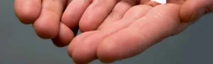 Immagine Educare nella quotidianità - incontri e laboratori