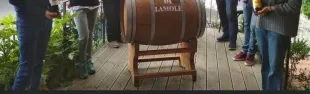 Foto Profumi di Lamole