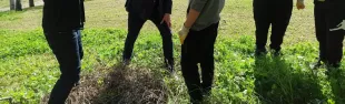 immagine nel Chianti il ritorno alla terra conquista i giovani...e la Tv