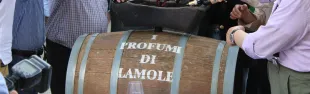 immagine I profumi di Lamole 2023