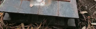 immagine atto vandalico Piazzone_1