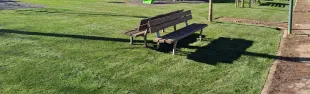 immagine Giardini Sant'Anna Greve_manto erboso