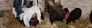 immagine presepe vivente Decimo