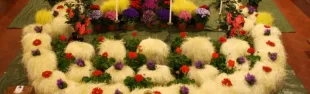 immagine vecce pasquali San casciano