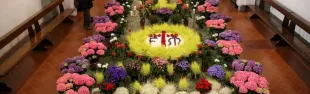 immagine vecce pasquali san casciano v.p.