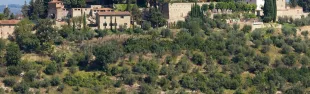 immagine Castello Vicchiomaggio