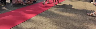 Red carpet