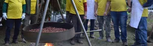 Festa delle castagne di Lucolena