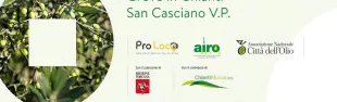 Olio Sapiens
