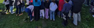 Giornata Nazionale degli Alberi