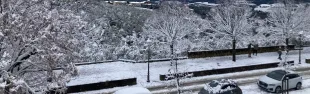 Emergenza neve a San Casciano in Val di Pesa