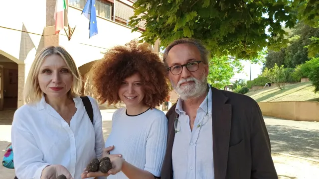 Foto polpette di fiori per api