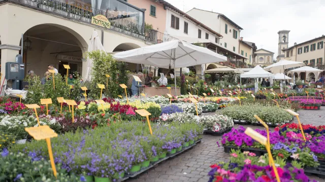 Mostra fiori Greve in Chianti