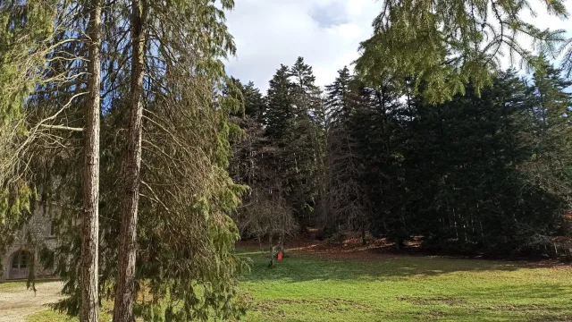 Foto Parco San Michele - Greve