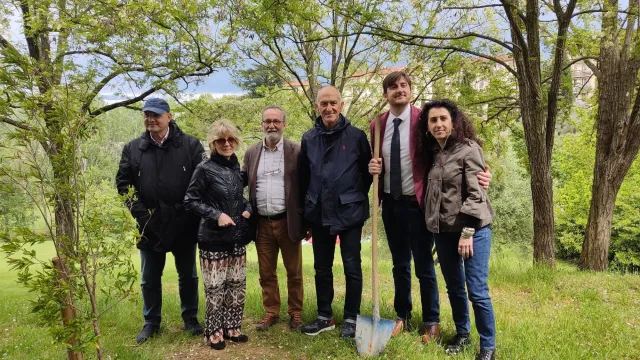 immagine albero melograno in memoria vittime Cutro