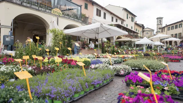 immagine Greve in Fiore