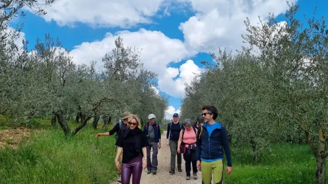 immagine sentiero Chianti