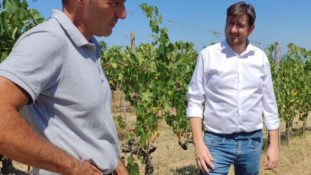 immagine agronomo Francesco Caselli + Roberto Ciappi presso azienda San casciano