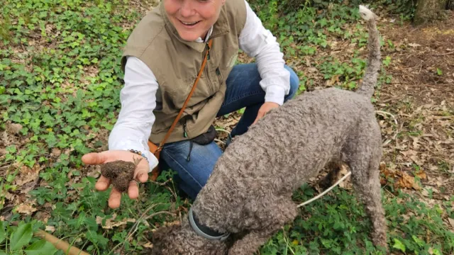 Caccia al tartufo tra i boschi di Barberino Tavarnelle