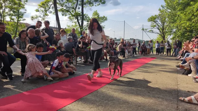 Red carpet
