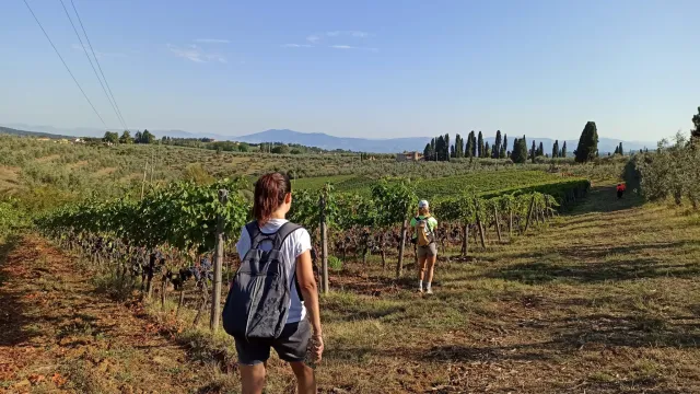 Ambito Turistico Chianti