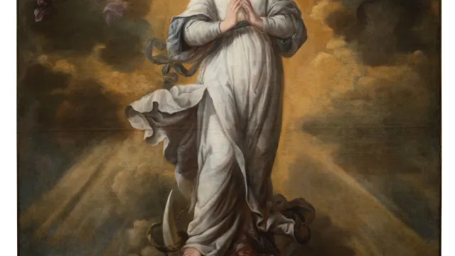 Iniziative dedicate all'opera dell'Immacolata Concezione 