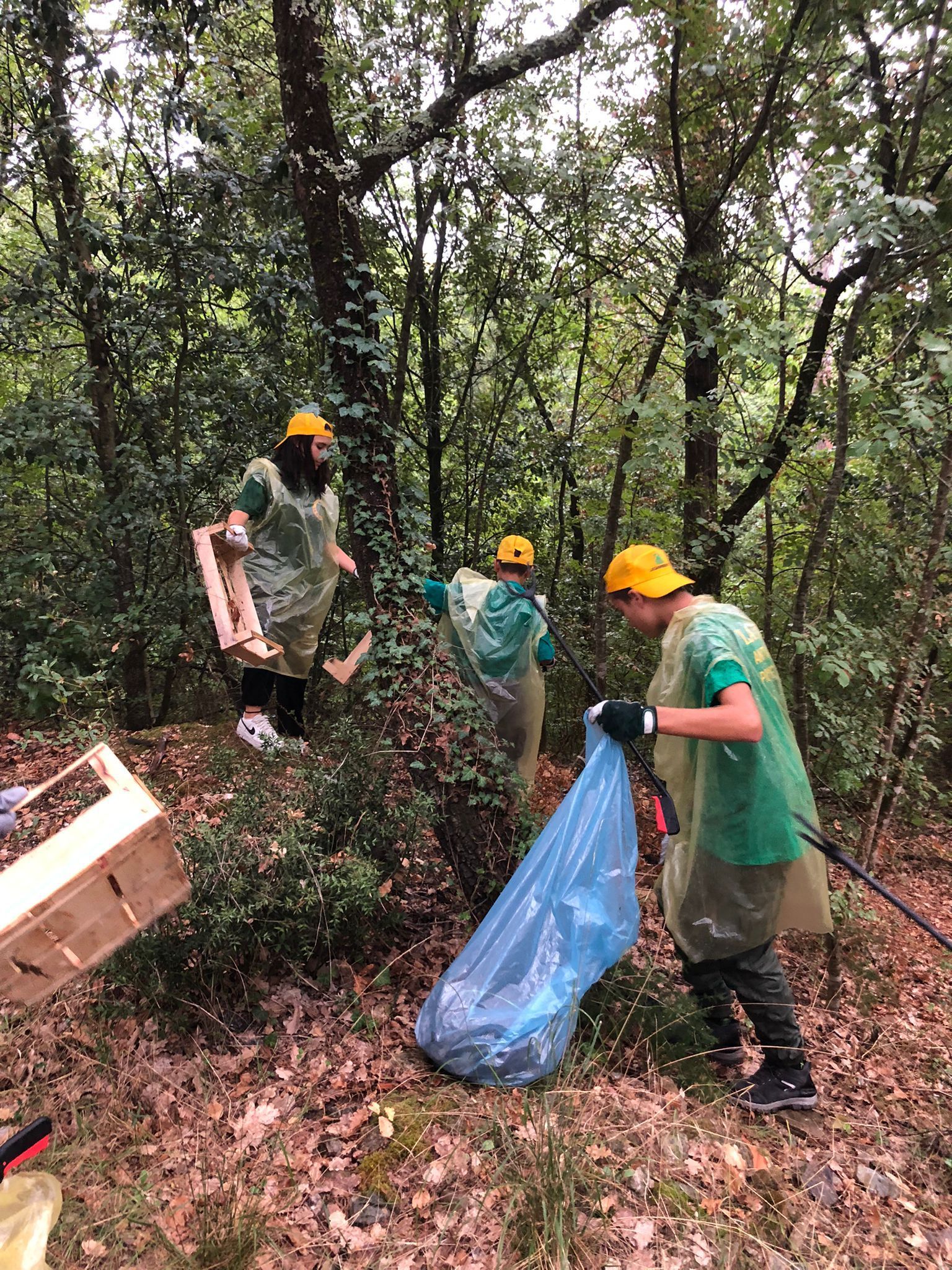 immagine clean-up SanCasciano_2