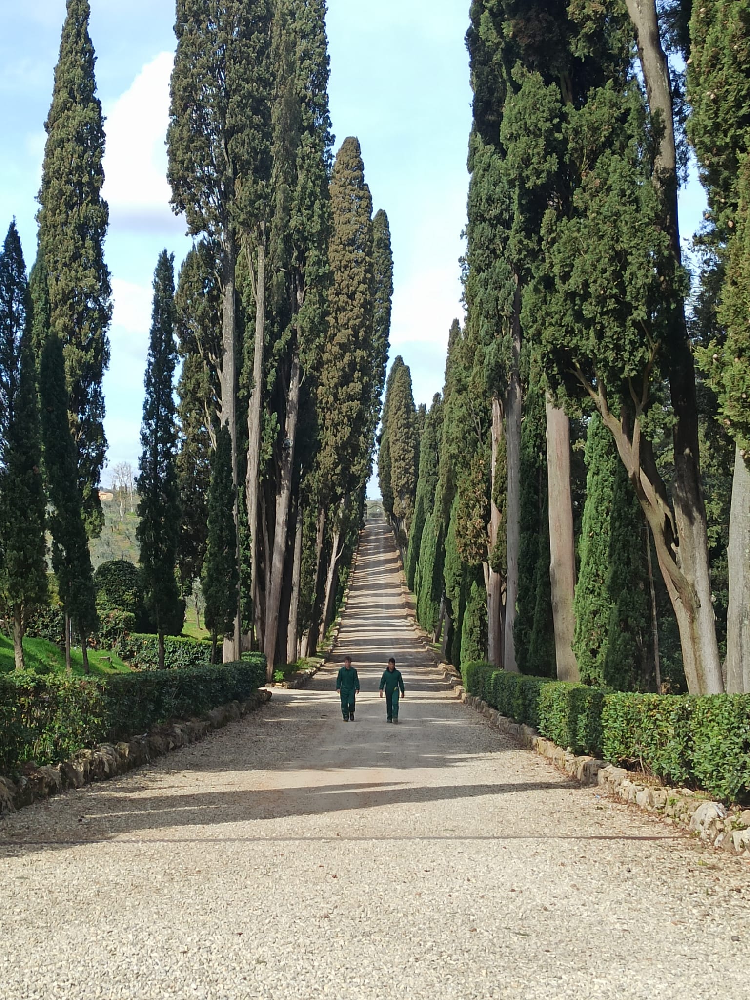 immagine nel Chianti il ritorno alla terra conquista i giovani...e la Tv_4