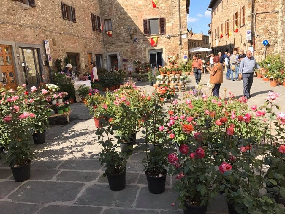 immagine Barberino in fiore_2