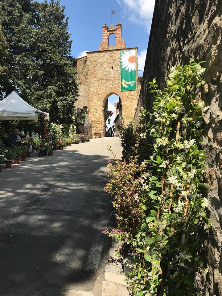 immagine Barberino in fiore