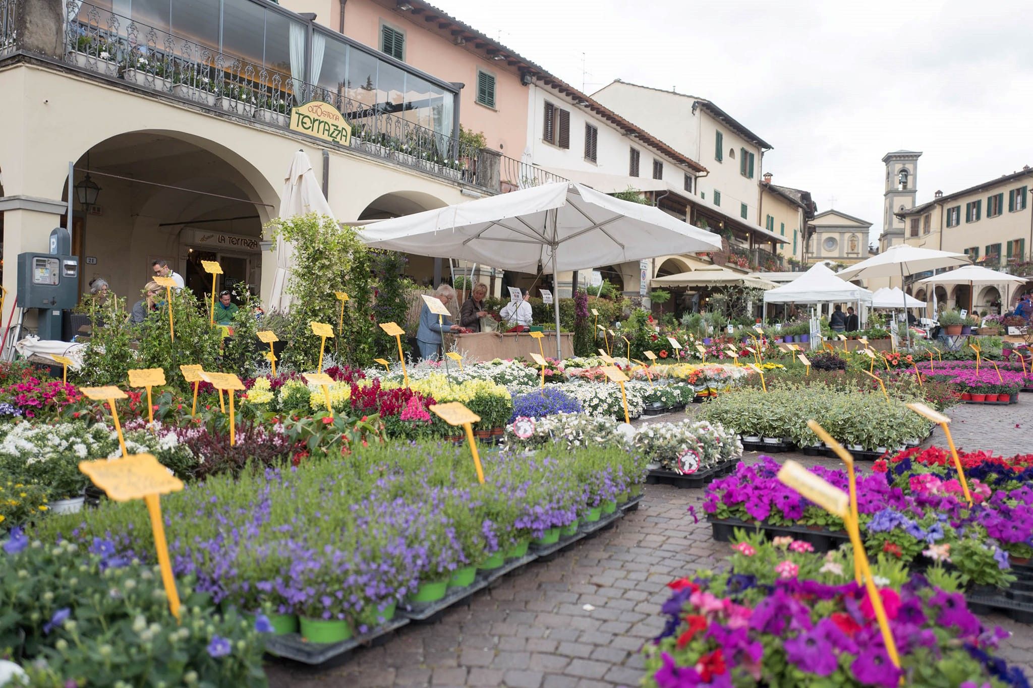 immagine Greve in Fiore