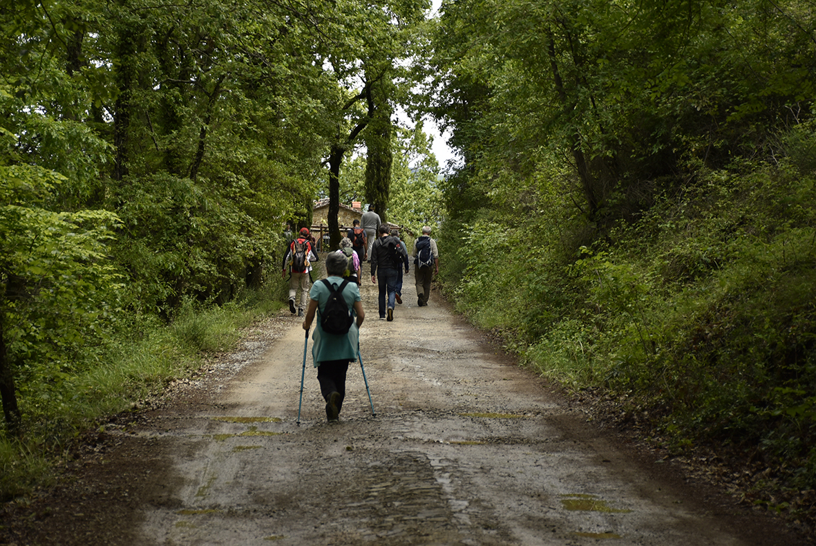 immagine presentazione nuovi sentieri di Greve in Chianti_7