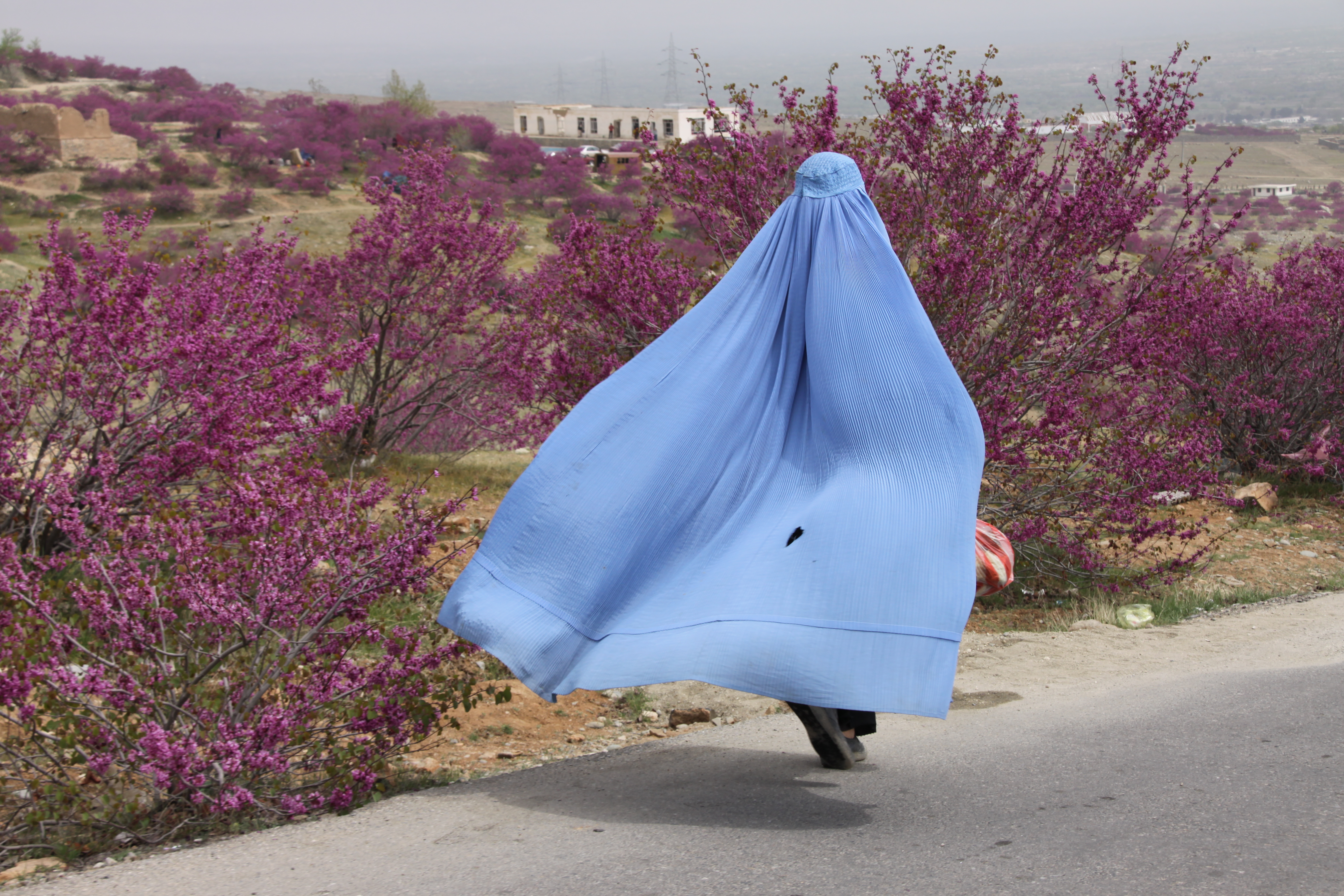 immagine mostra fotografica Resistere per Vivere_palazzo Malaspina