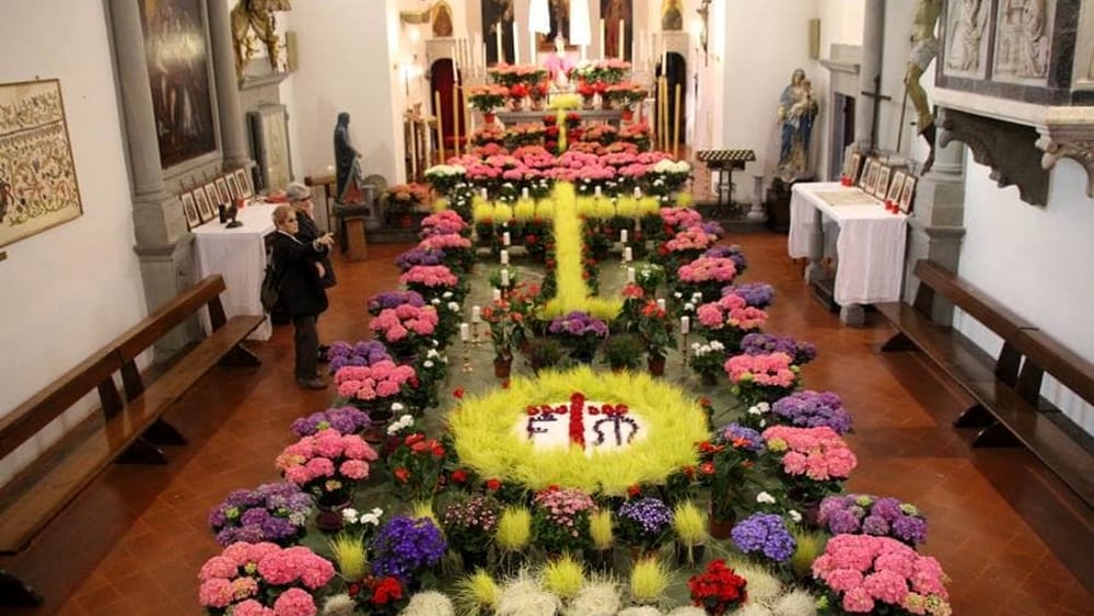 immagine vecce pasquali San casciano