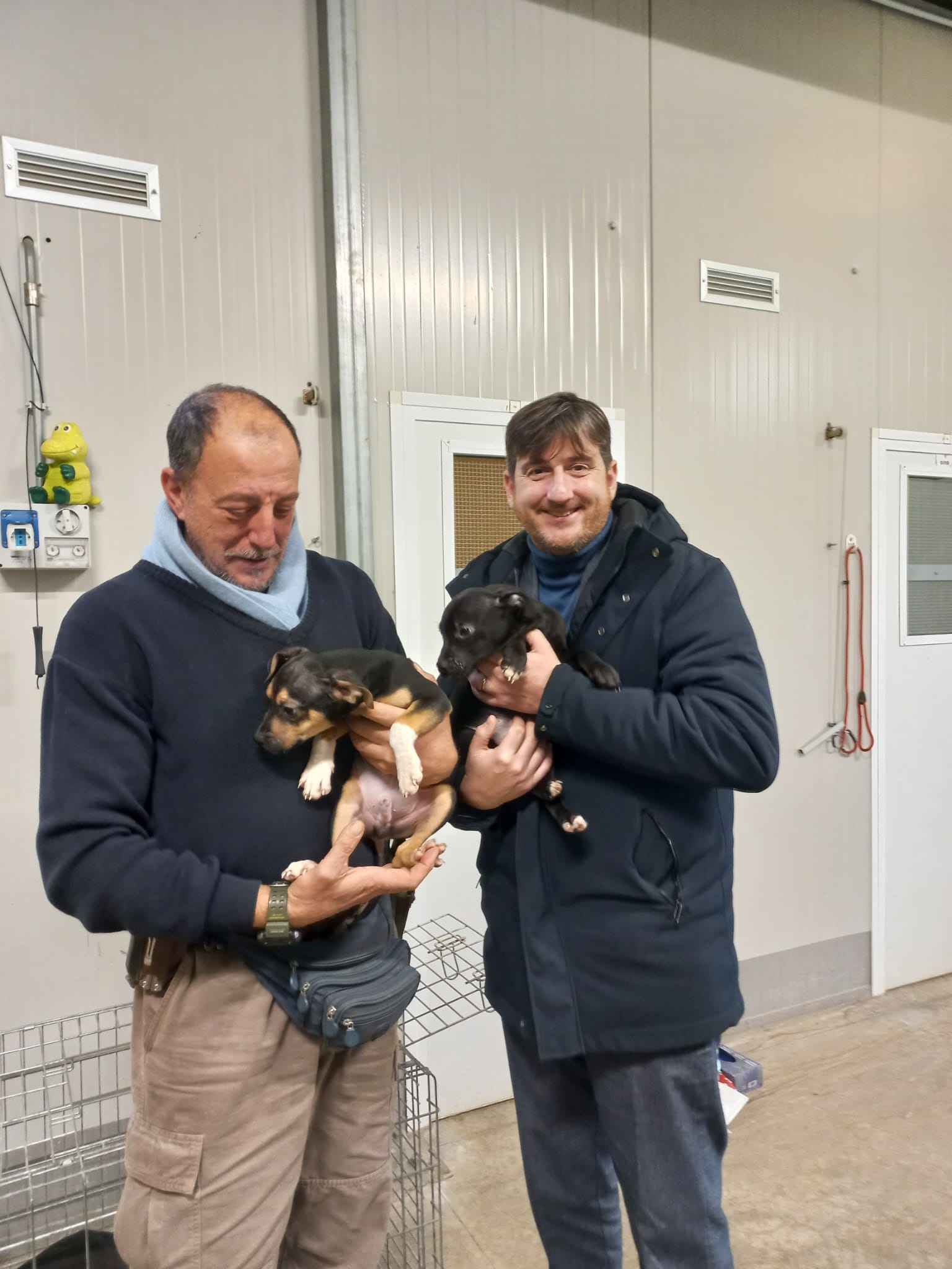 I tre cuccioli: Panna, Latte e Caffè