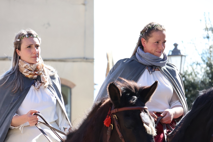 Contrada del Cavallo