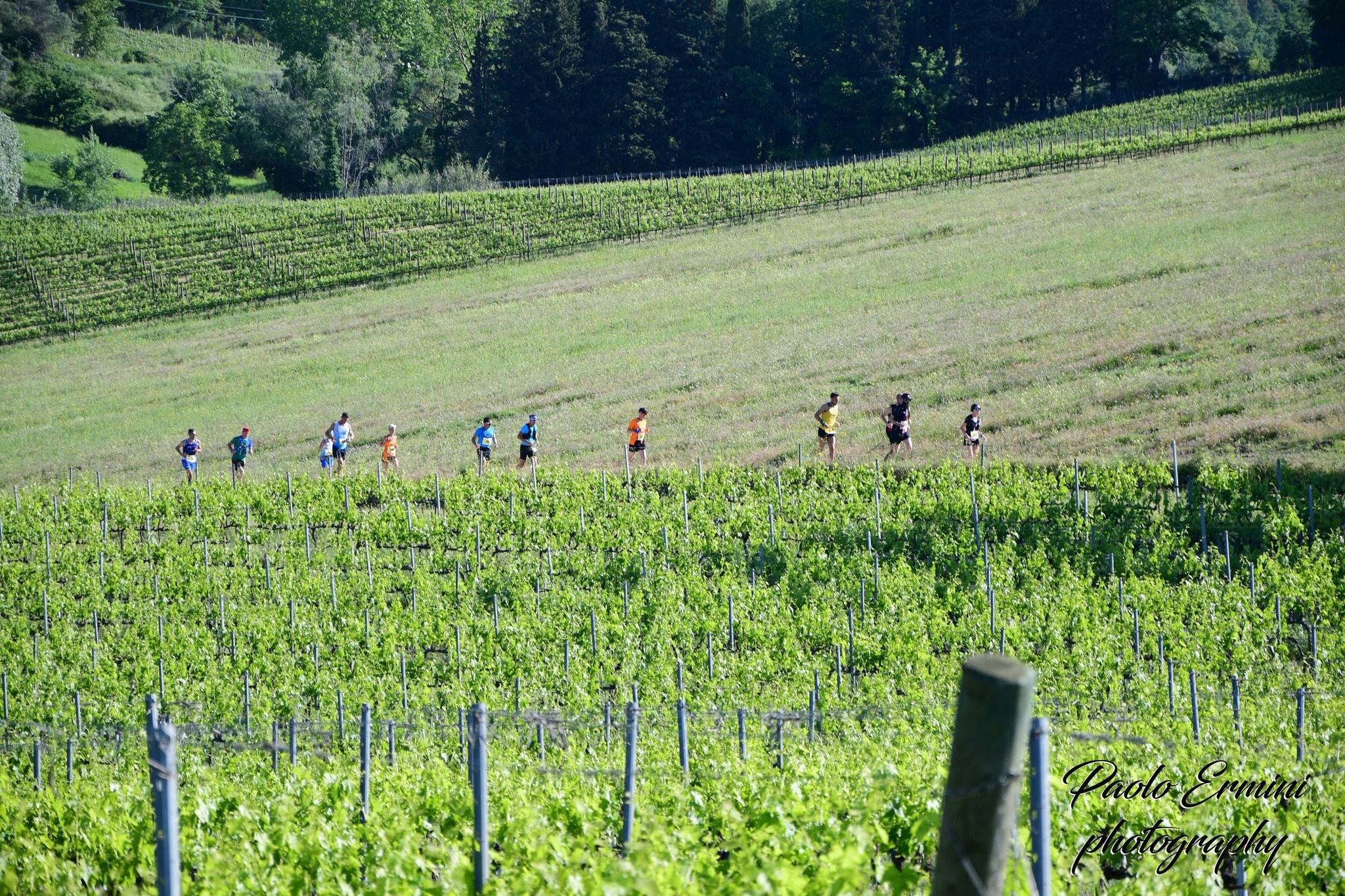 Chianti Classico Marathon