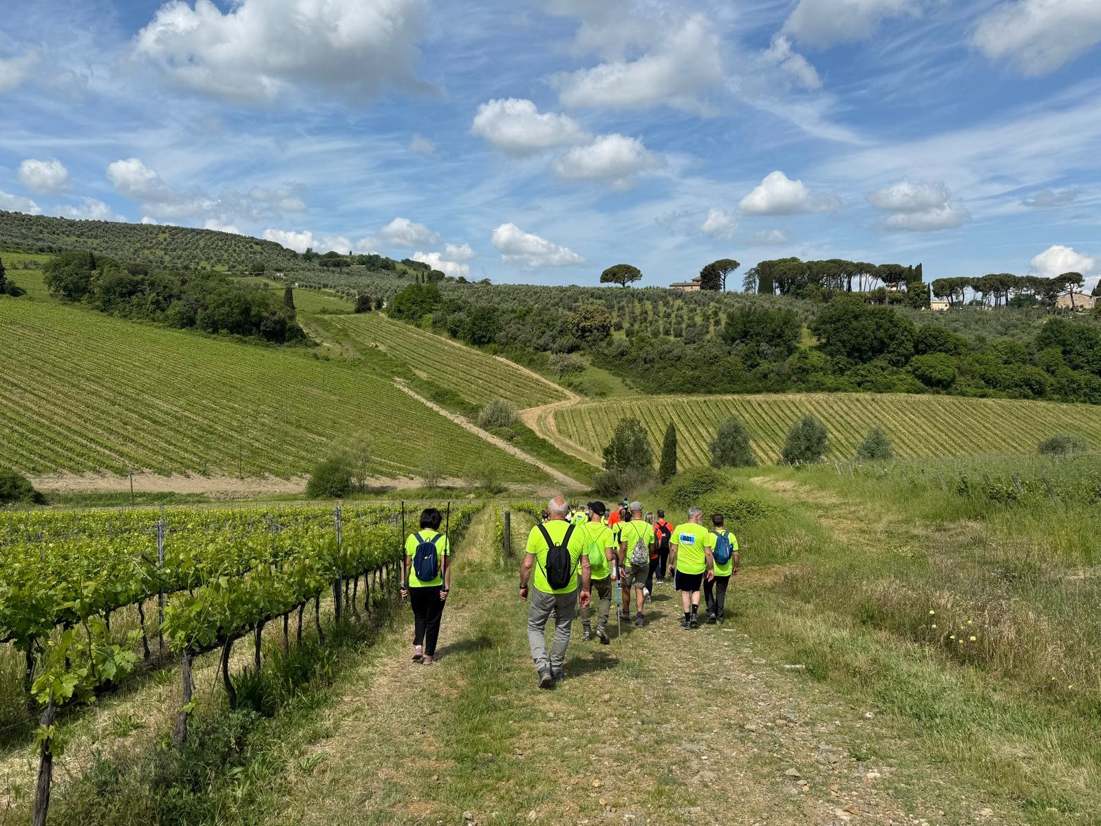 Chianti Classico Marathon