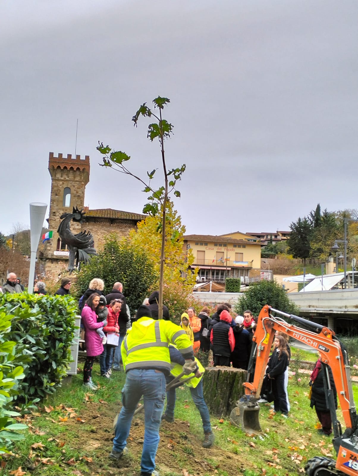 Giornata dell'albero