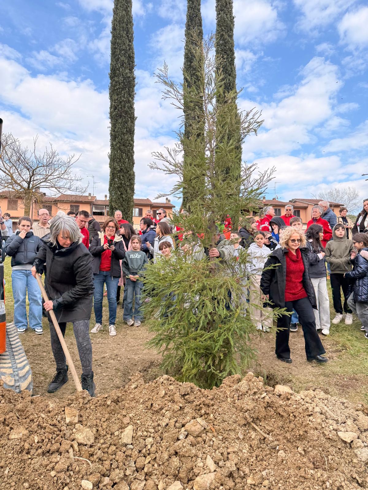 Evento per Julia  Butterfly Hill