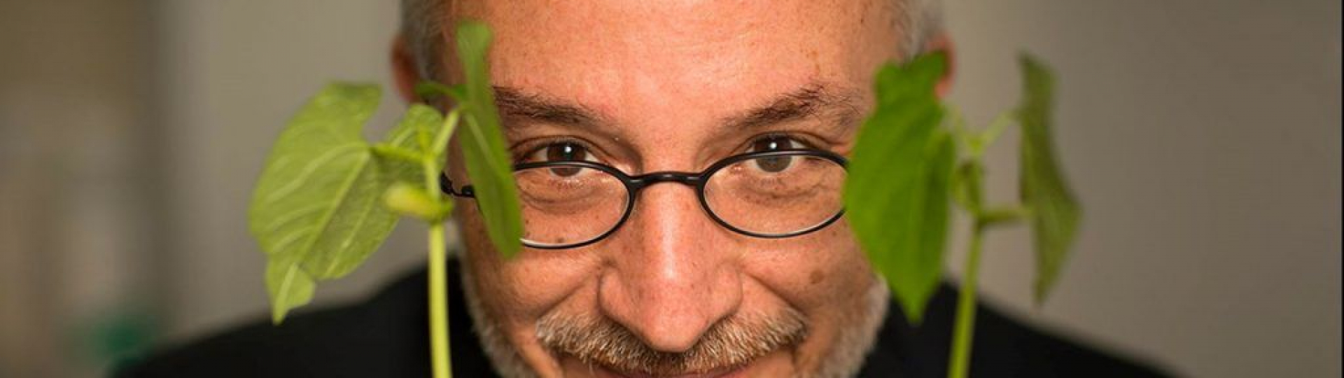 immagine Stefano Mancuso