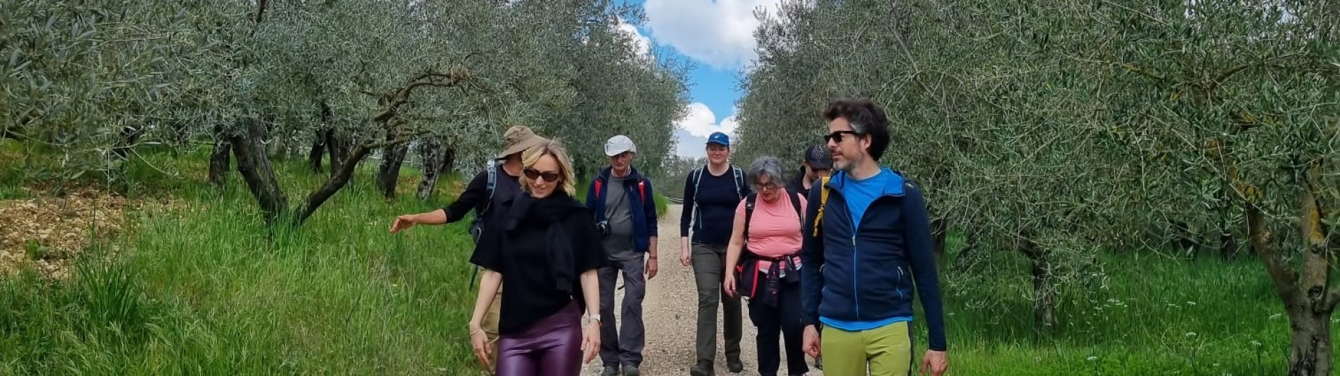 immagine sentiero Chianti