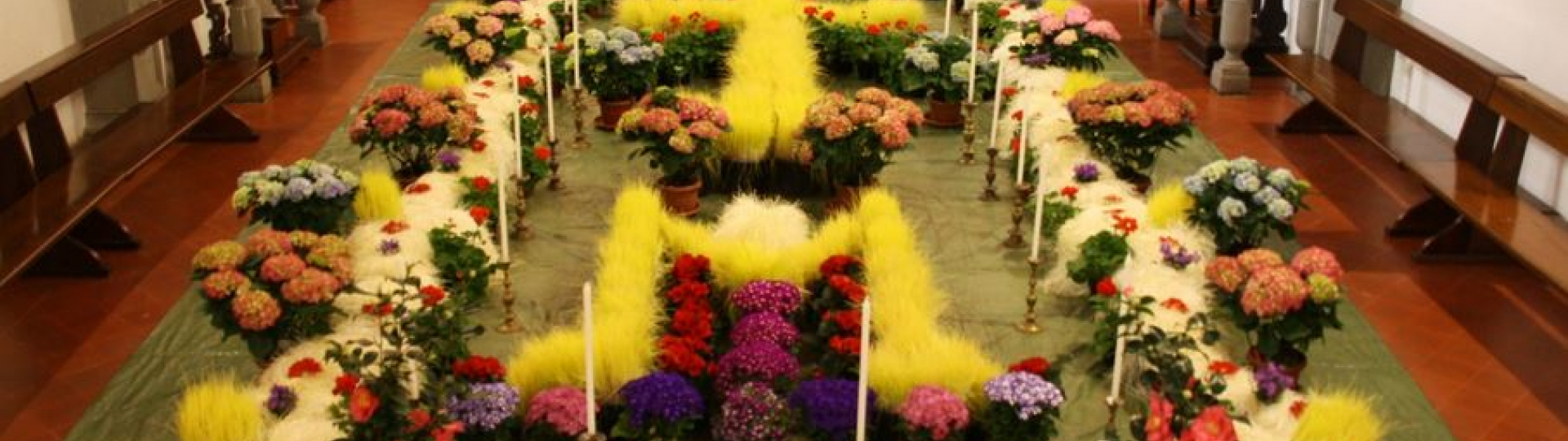 immagine vecce pasquali San casciano