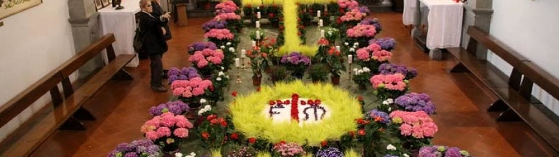 immagine vecce pasquali san casciano v.p.