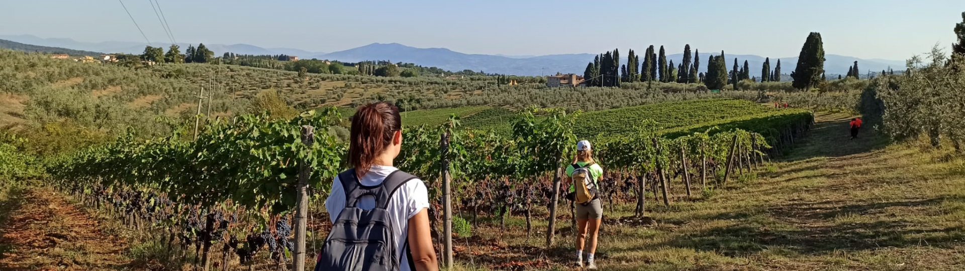 Ambito Turistico Chianti