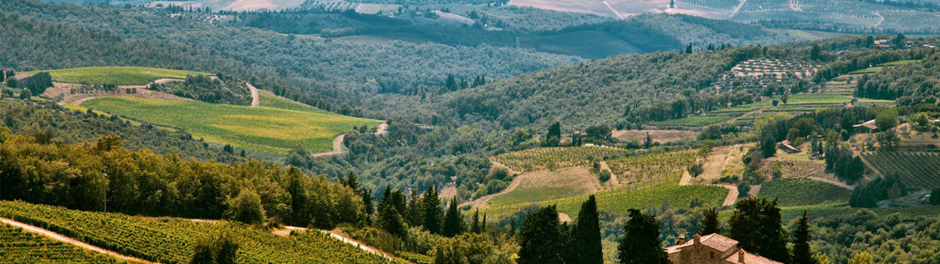 immagine paesaggio