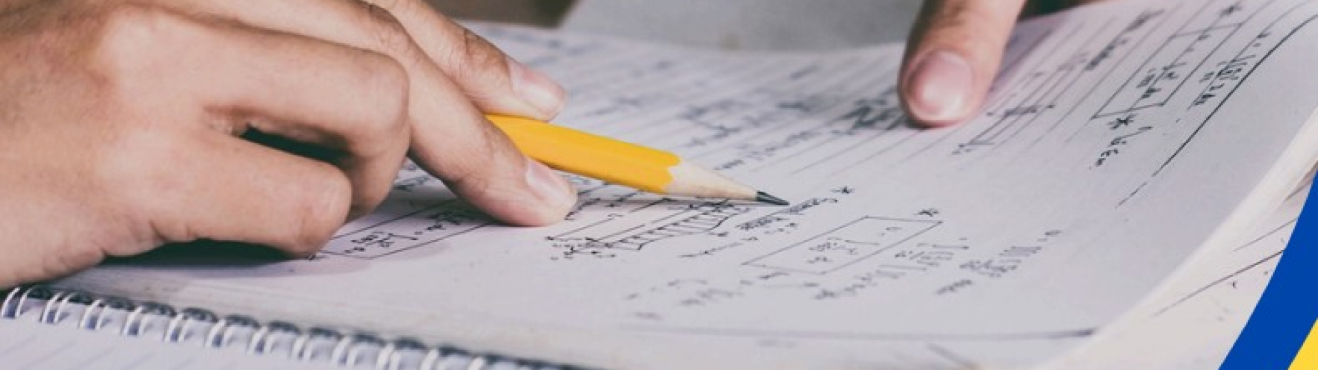 immagine Tutor Time