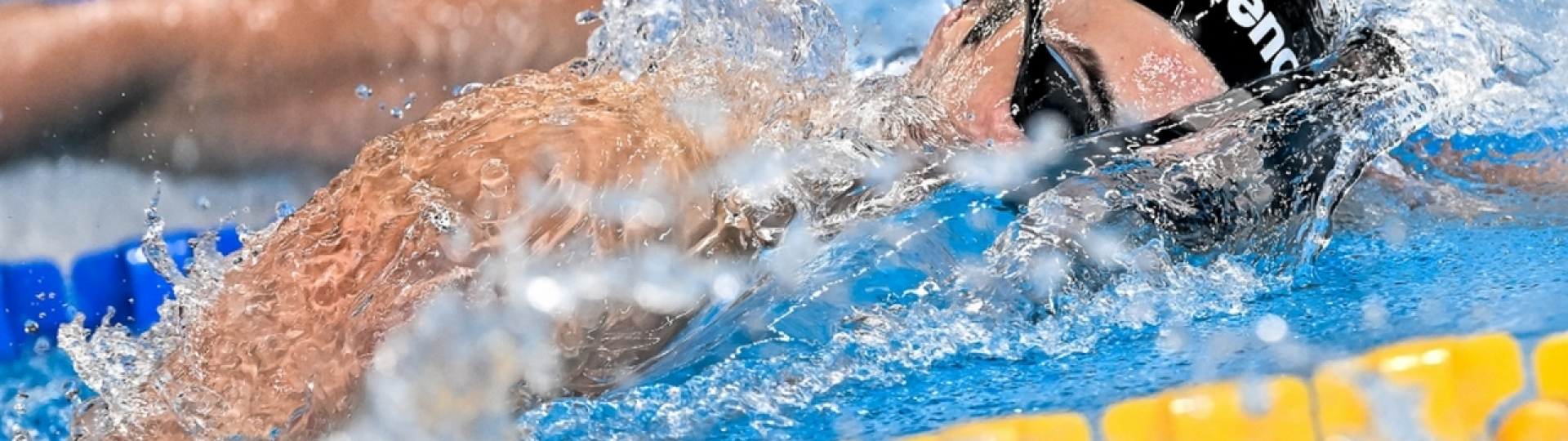 Filippo Megli