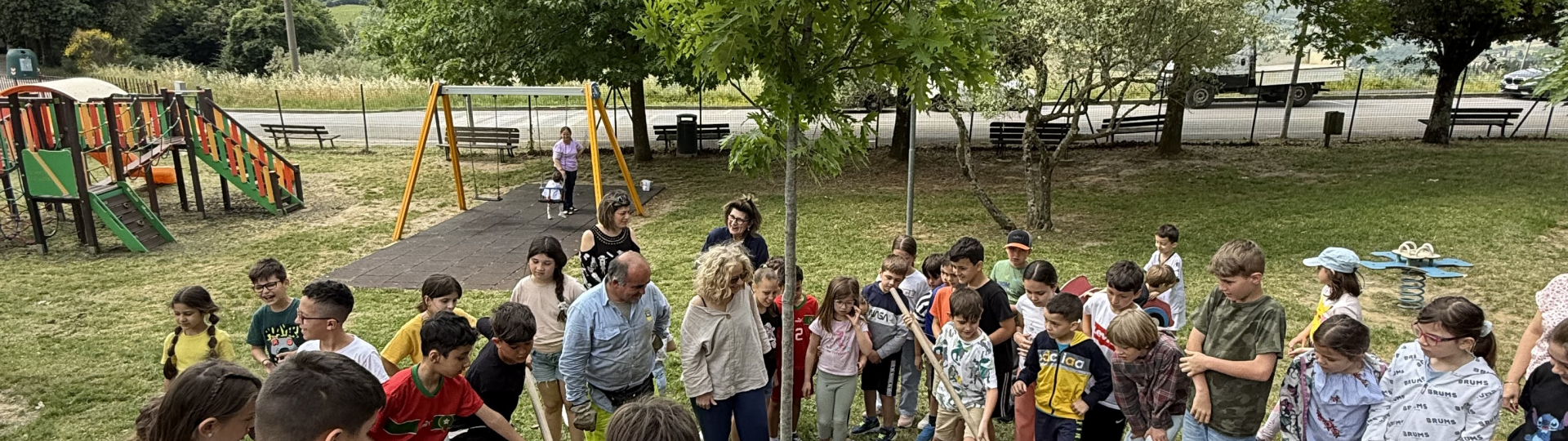 Piantagione di alberi