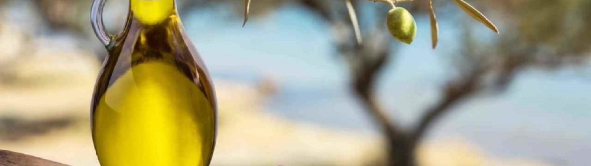 Degustazione olio nuovo